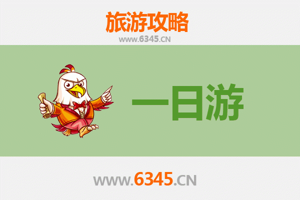 上海长宁自驾一日游攻略：都市绿洲与文艺之旅
