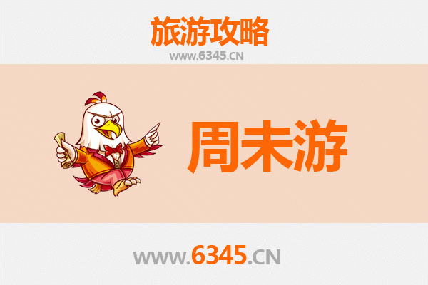 上海长宁周末漫游指南：文艺街区与城市绿意的完美邂逅